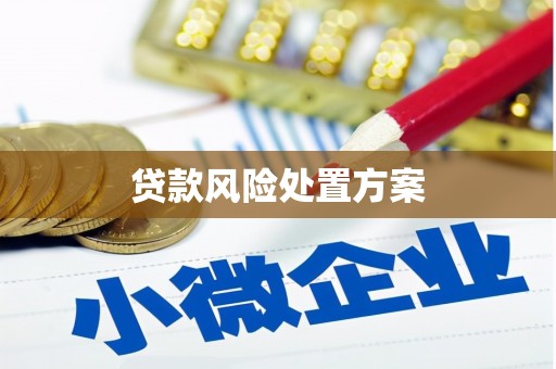 云霄贷款风险处置方案
