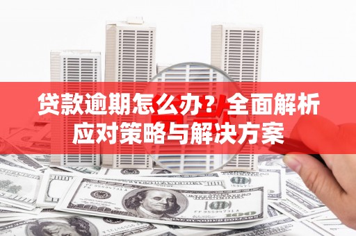 大观贷款逾期怎么办？全面解析应对策略与解决方案