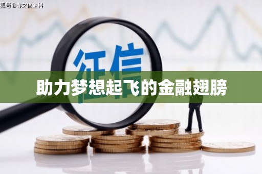武进助力梦想起飞的金融翅膀