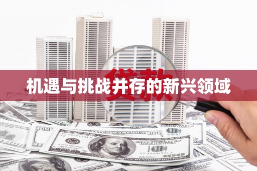 锦州机遇与挑战并存的新兴领域