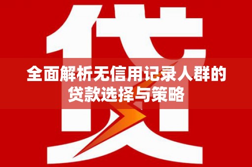 海丰全面解析无信用记录人群的贷款选择与策略