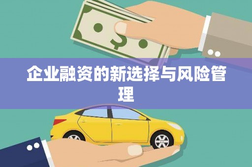 黑龙江企业融资的新选择与风险管理