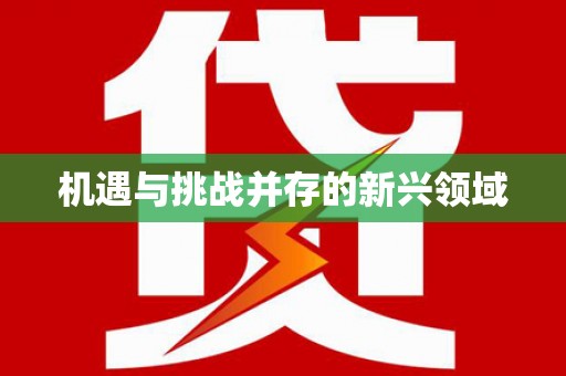 剑川机遇与挑战并存的新兴领域