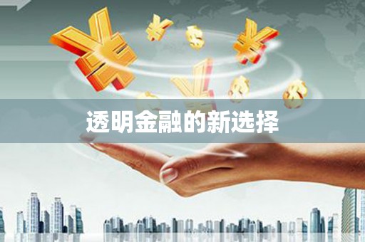 泸西透明金融的新选择