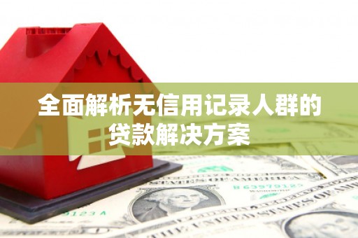 边坝全面解析无信用记录人群的贷款解决方案