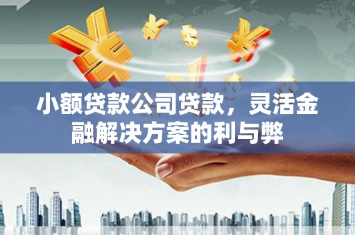 旺苍小额贷款公司贷款，灵活金融解决方案的利与弊