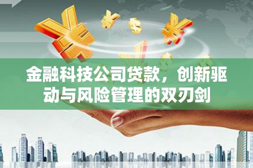 隆子金融科技公司贷款，创新驱动与风险管理的双刃剑